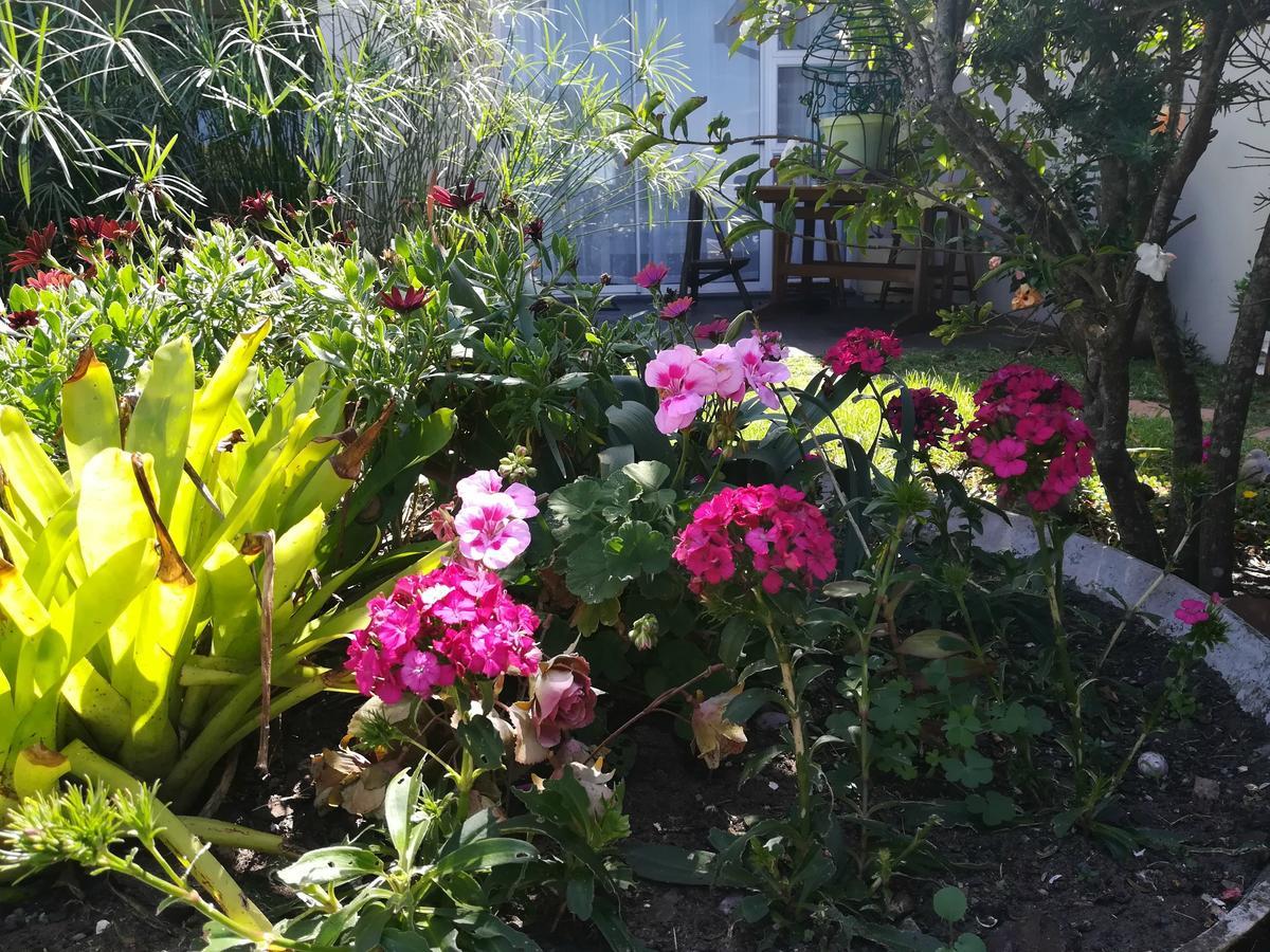 The Coelacanth Guest House And Beach Thyme Self Catering Kiddʼs Beach Extérieur photo