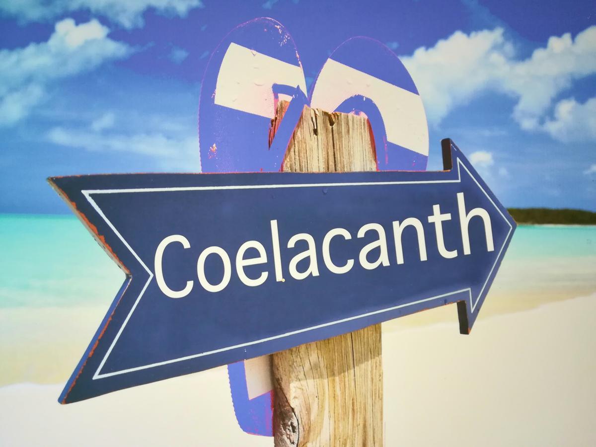 The Coelacanth Guest House And Beach Thyme Self Catering Kiddʼs Beach Extérieur photo