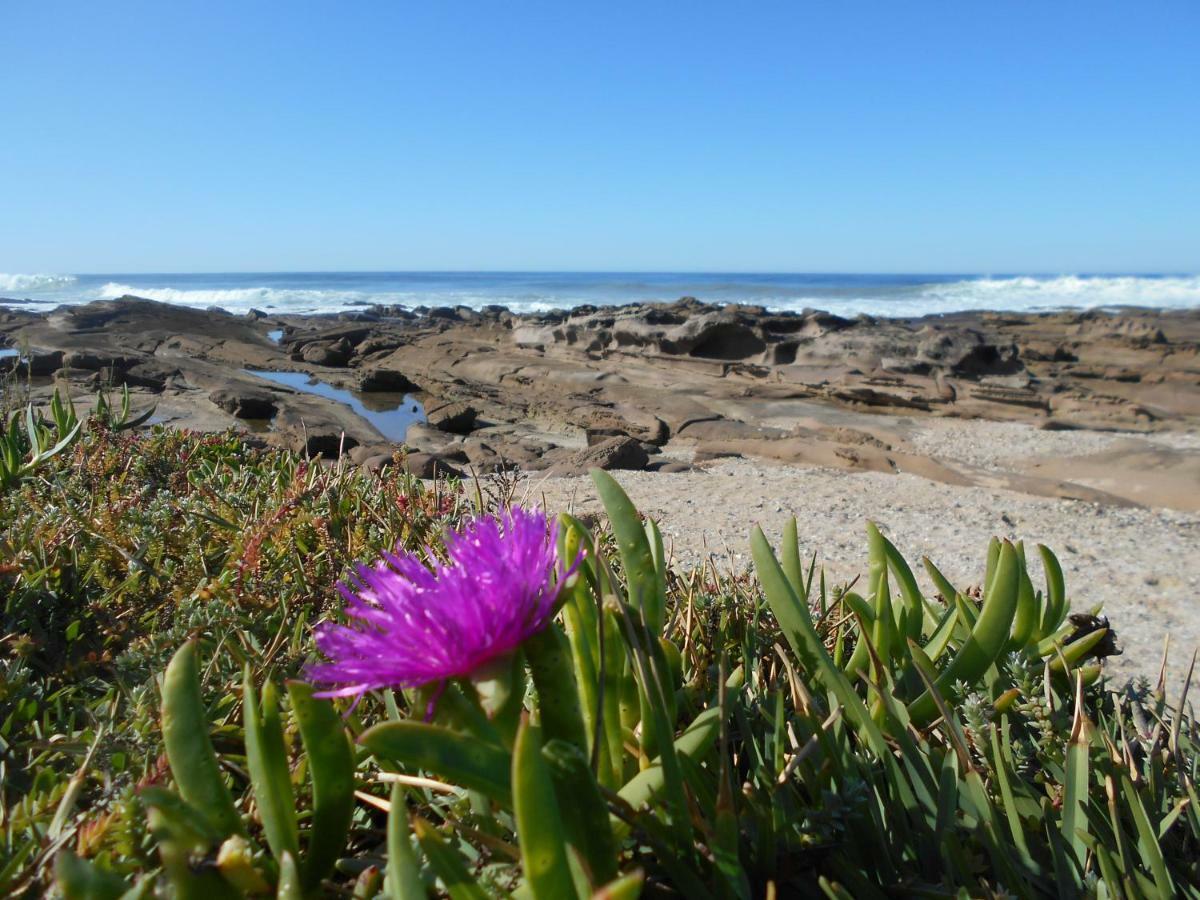 The Coelacanth Guest House And Beach Thyme Self Catering Kiddʼs Beach Extérieur photo